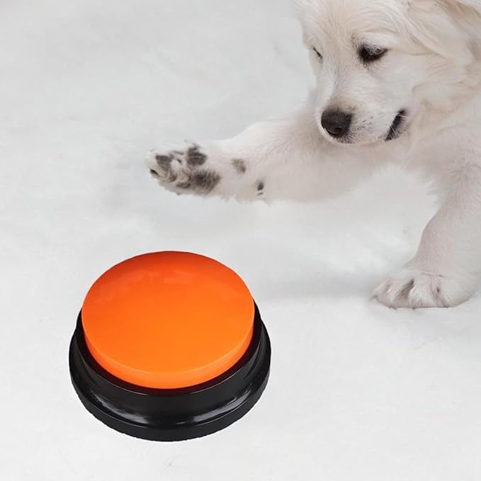 ChienParlant™ - Orange - ChienPrestige