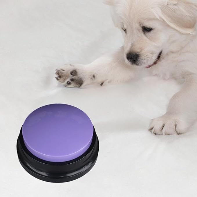 ChienParlant™ - Violet - ChienPrestige