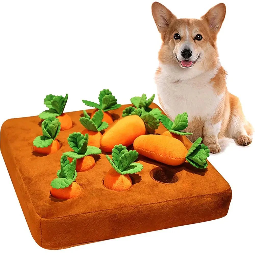 DogPlushCarrots™ - 12Pcs - ChienPrestige