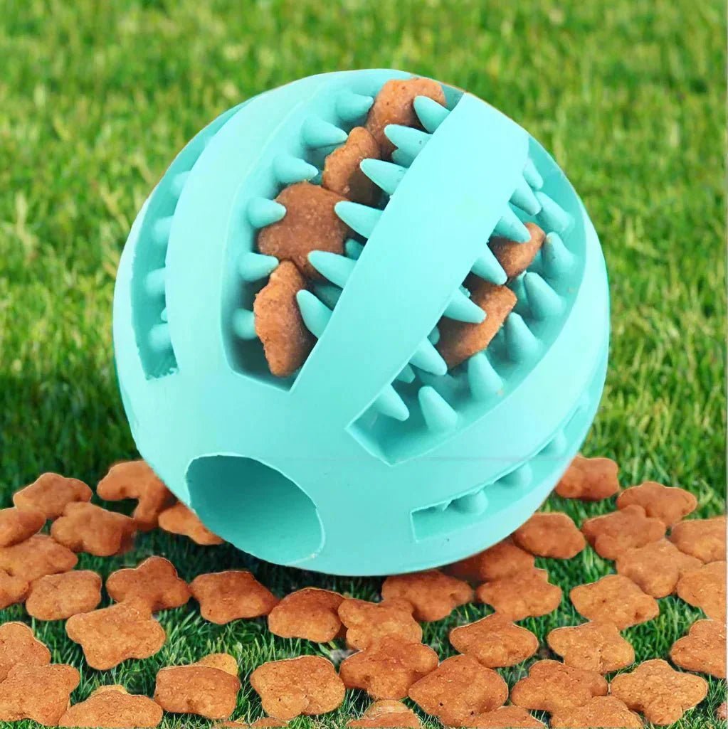 DogToyBall™ - Cyan - ChienPrestige