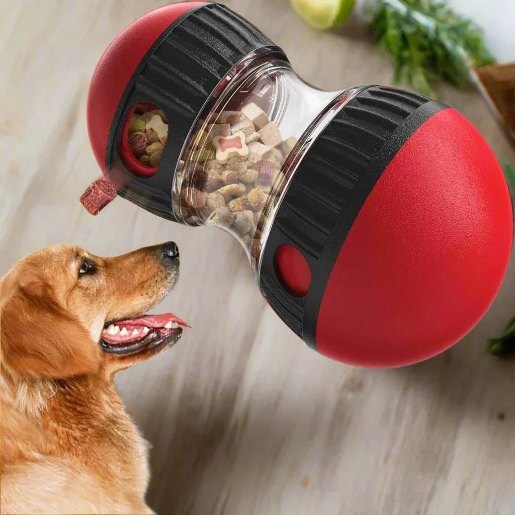 EllipticalDogPuzzleToy™ - Rouge - ChienPrestige