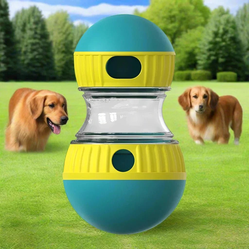 EllipticalDogPuzzleToy™ - Turquoise - ChienPrestige