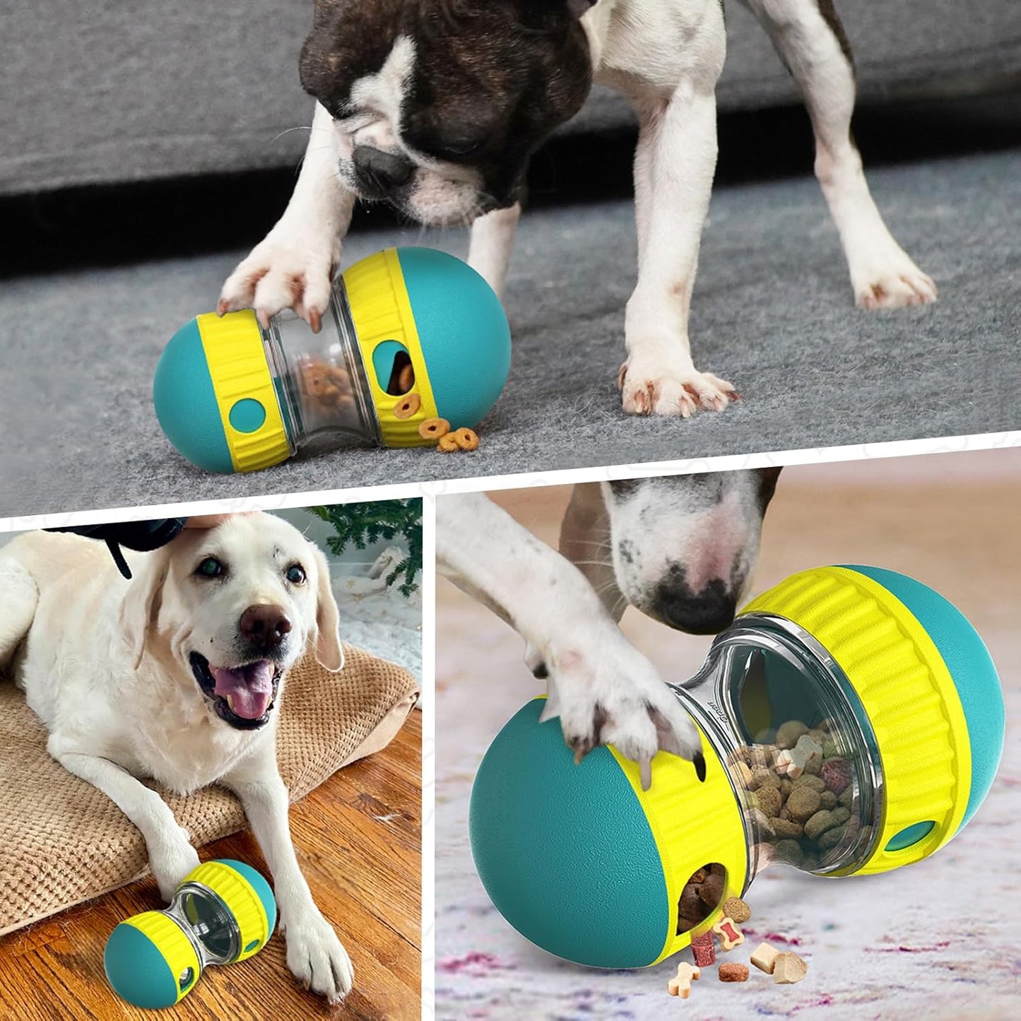 EllipticalDogPuzzleToy™ - Turquoise - ChienPrestige